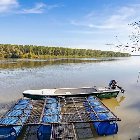 Beautiful In Dalj With Wifi