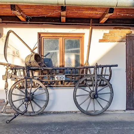 Beautiful In Dalj With Wifi 펜션 *